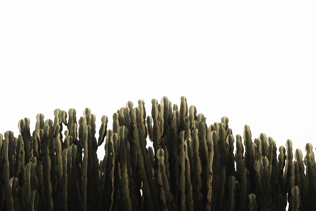 湖南郴州举办首届公益诉讼检察业务竞赛